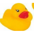 Rubber Miniature Duck